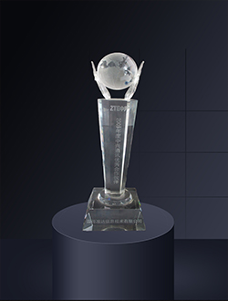 2009年度中兴通讯优秀合作伙伴