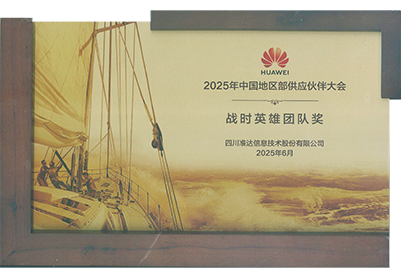 2025年华为中国地区部战时英雄团队奖